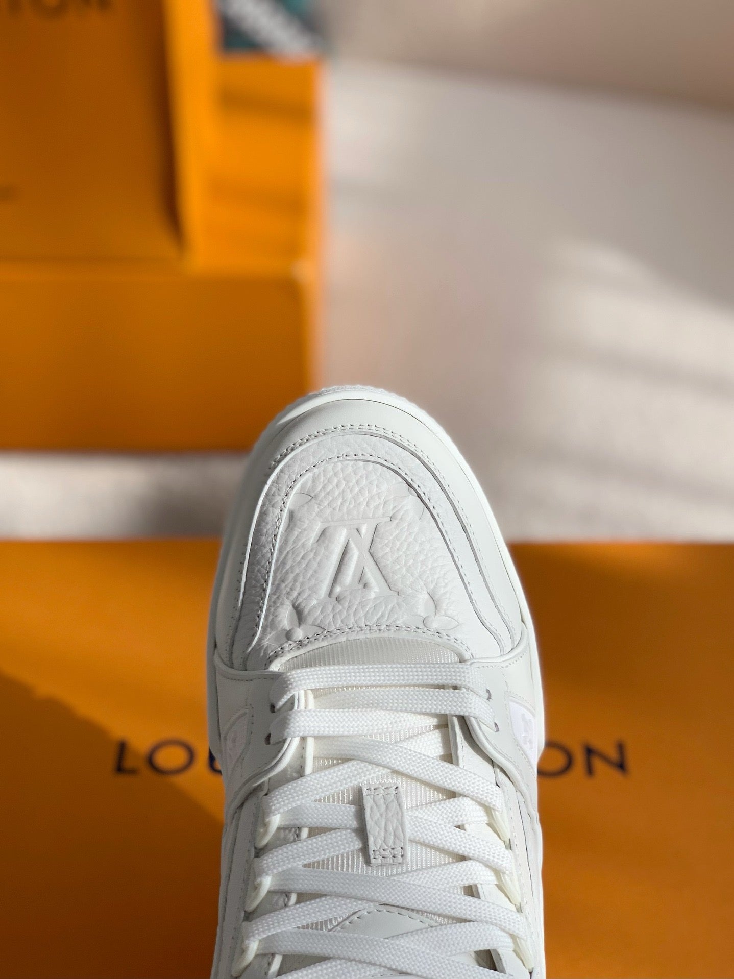 LV Trainer Sneaker