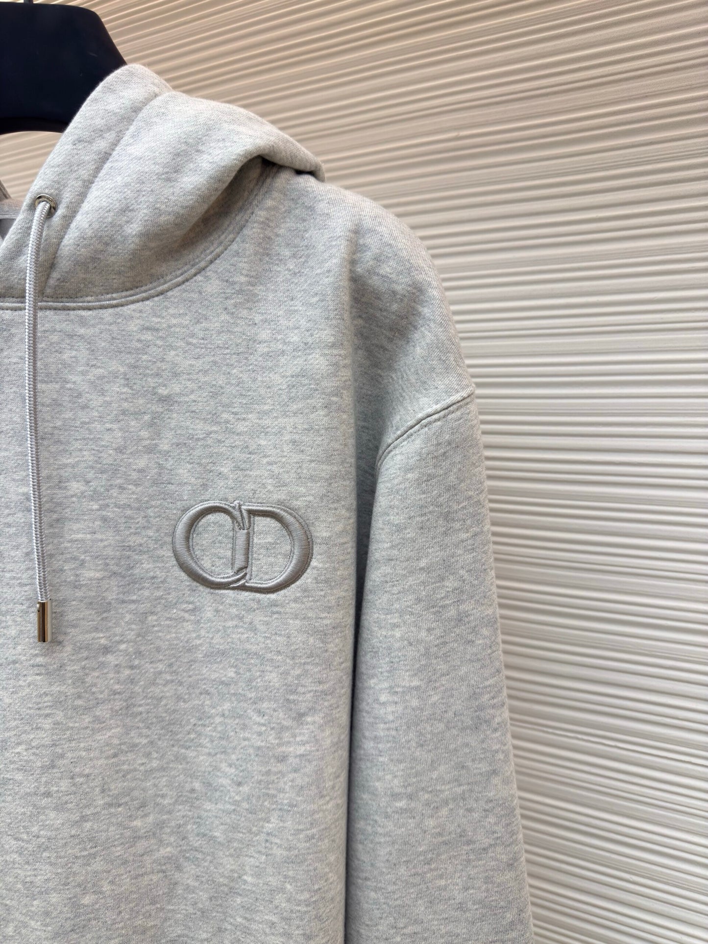 Dior Icon Hoodie