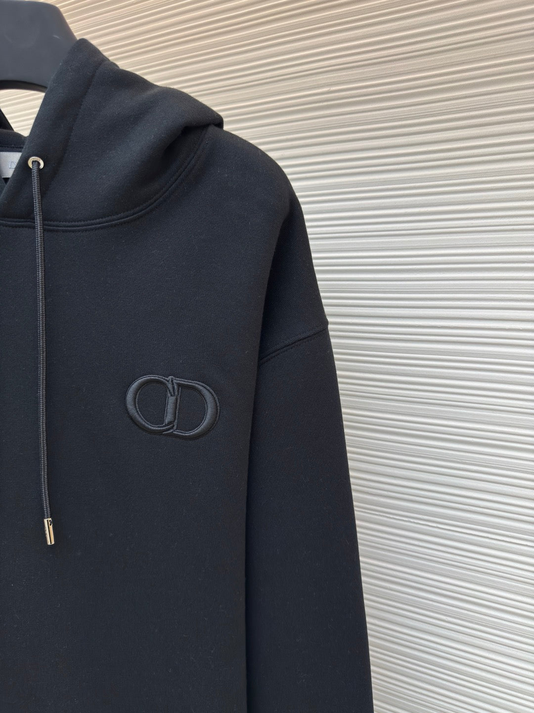 Dior Icon Hoodie