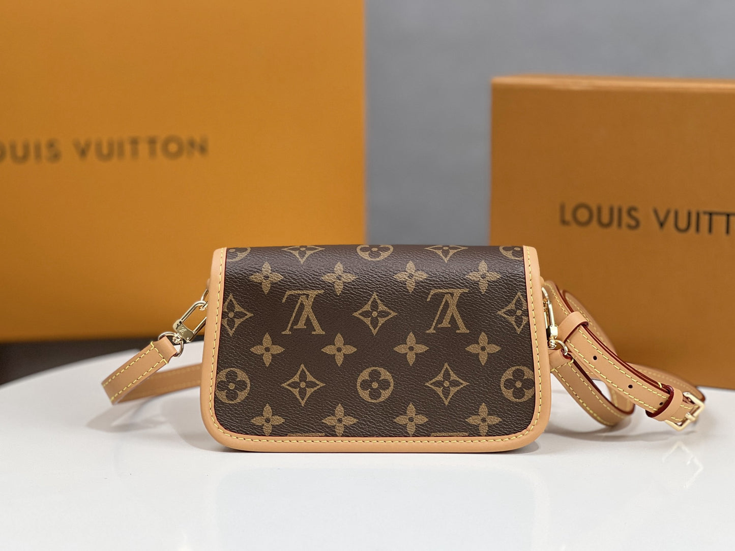 LV Buci Bag
