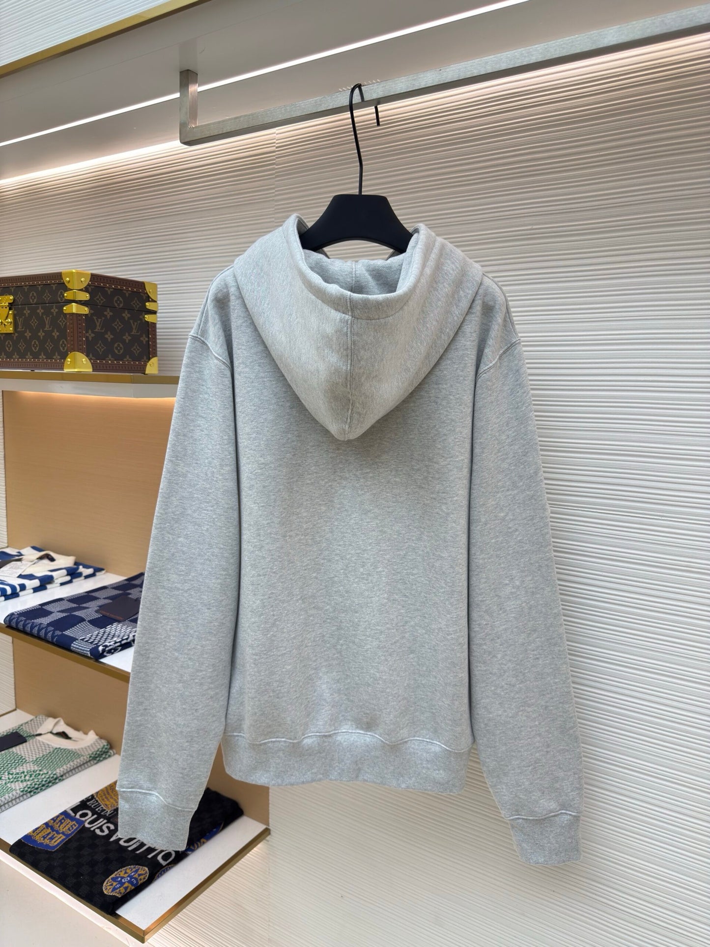 Dior Icon Hoodie