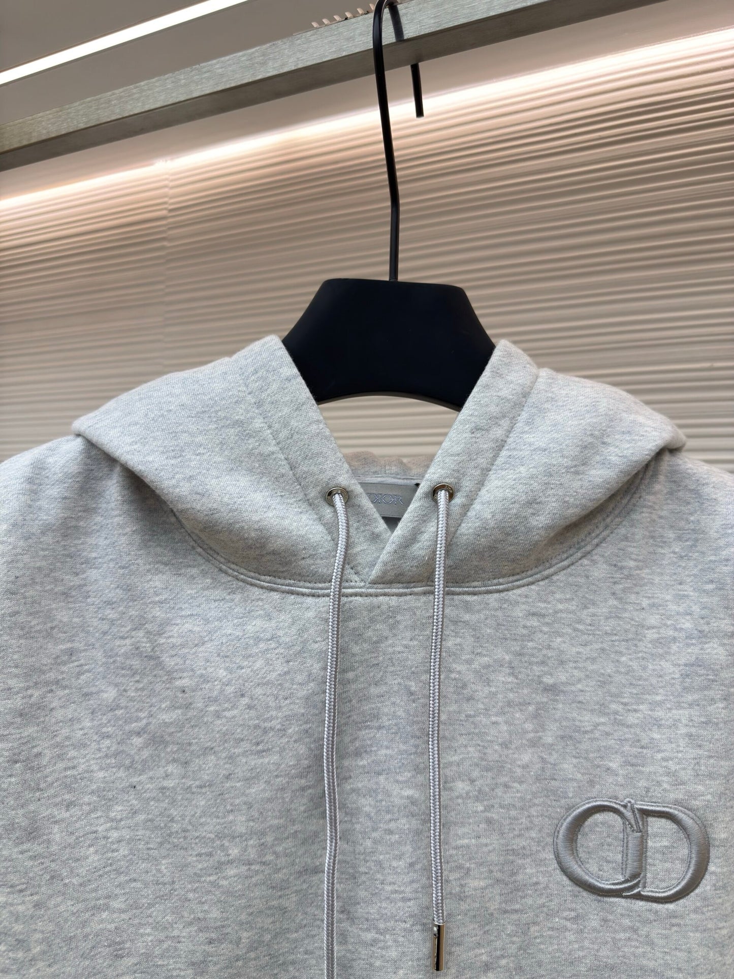 Dior Icon Hoodie