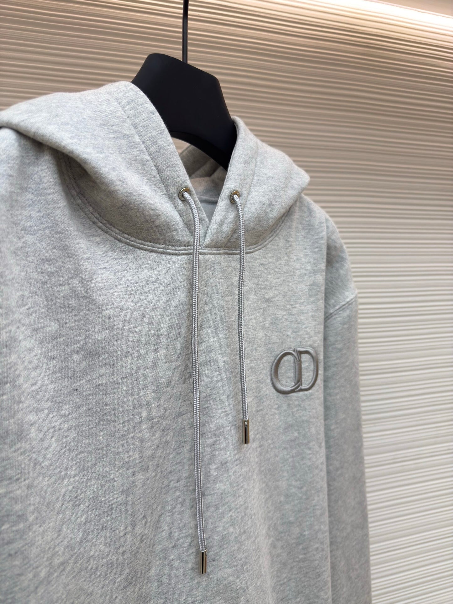 Dior Icon Hoodie
