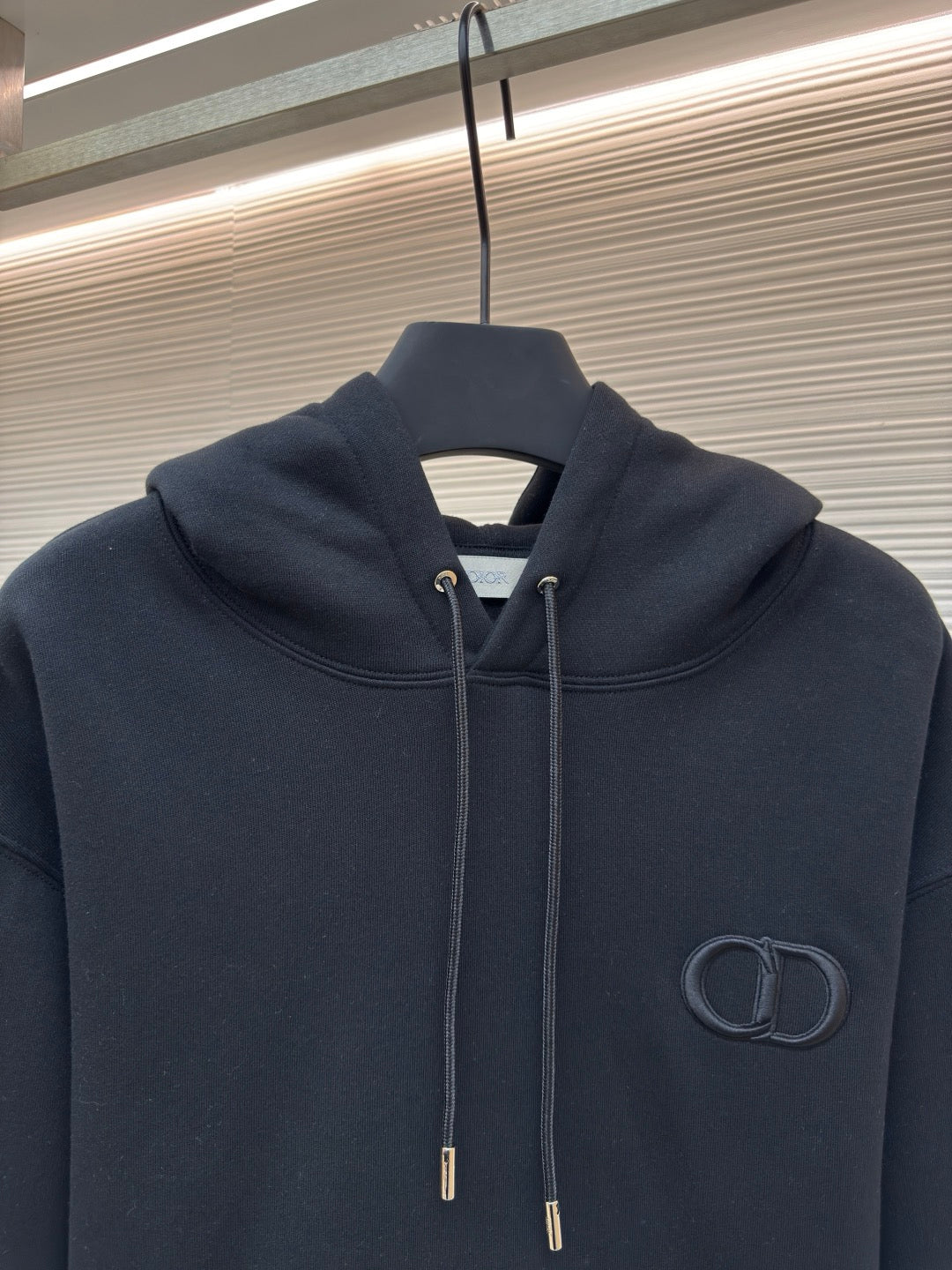 Dior Icon Hoodie