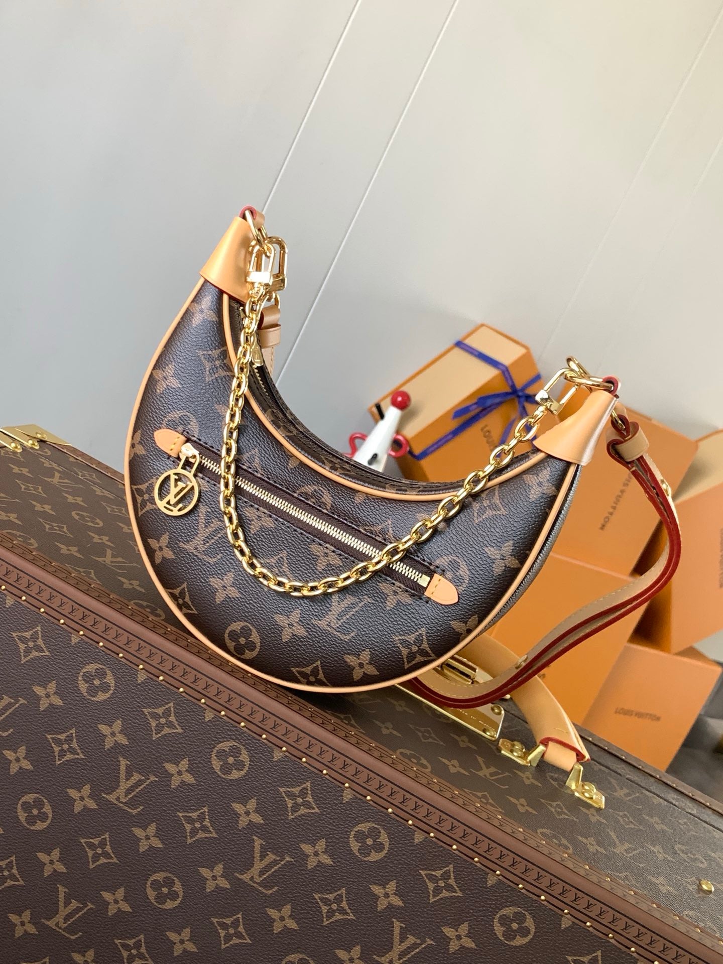 LV Loop Bag
