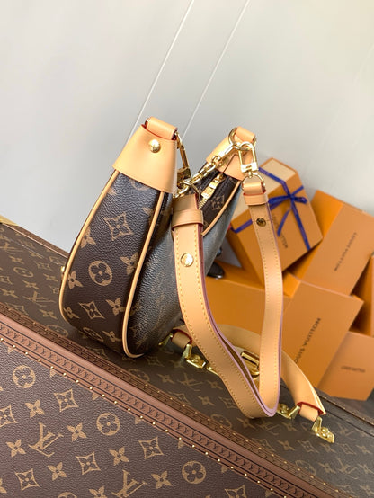 LV Loop Bag