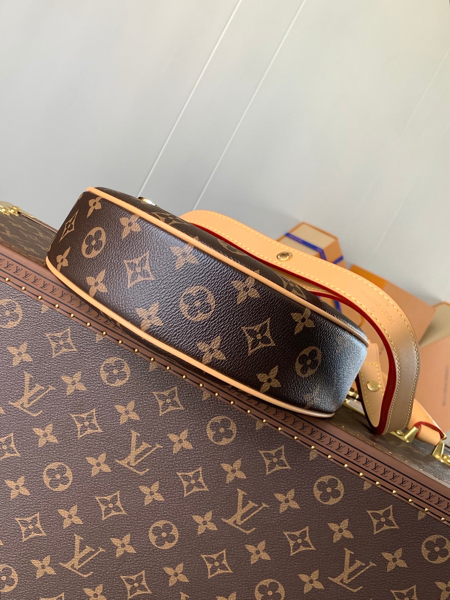 LV Loop Bag