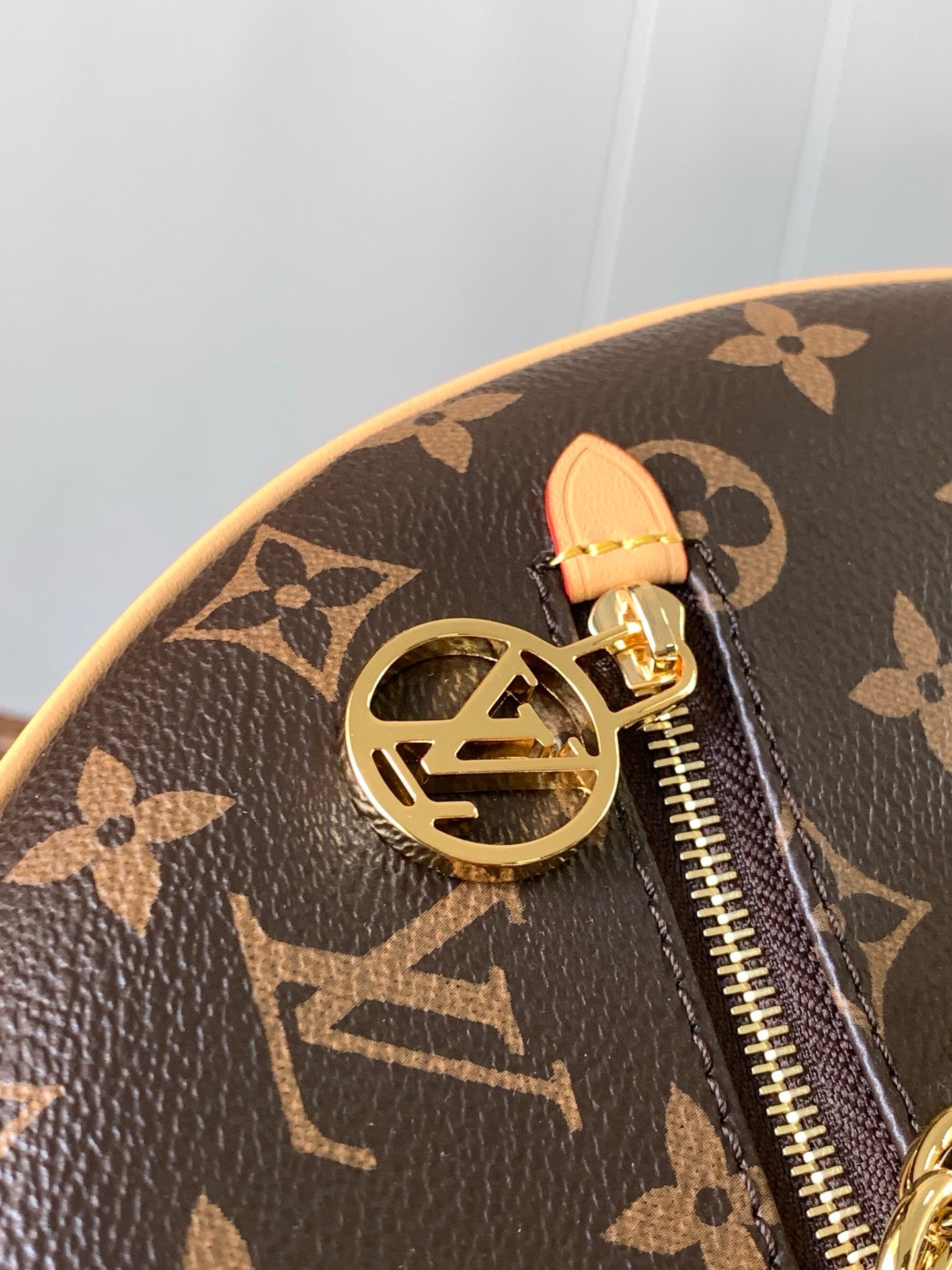LV Loop Bag