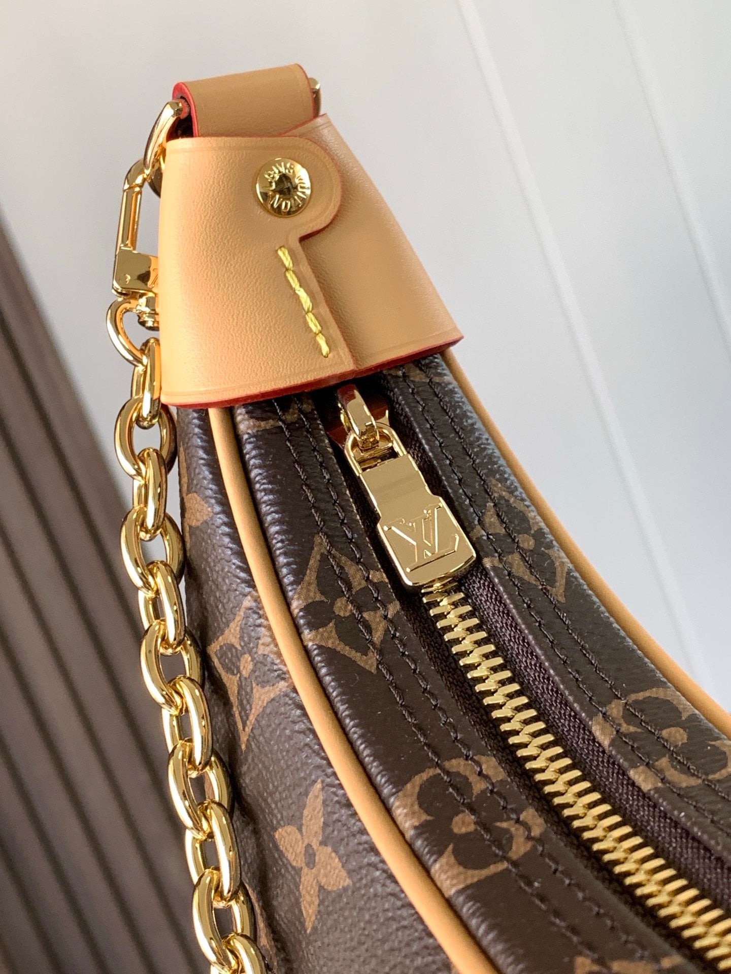 LV Loop Bag