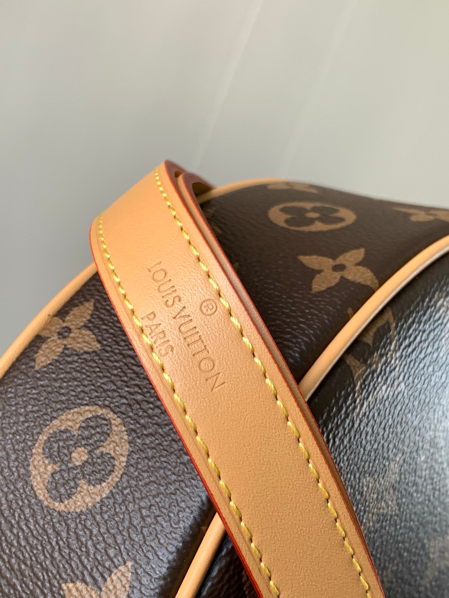 LV Loop Bag