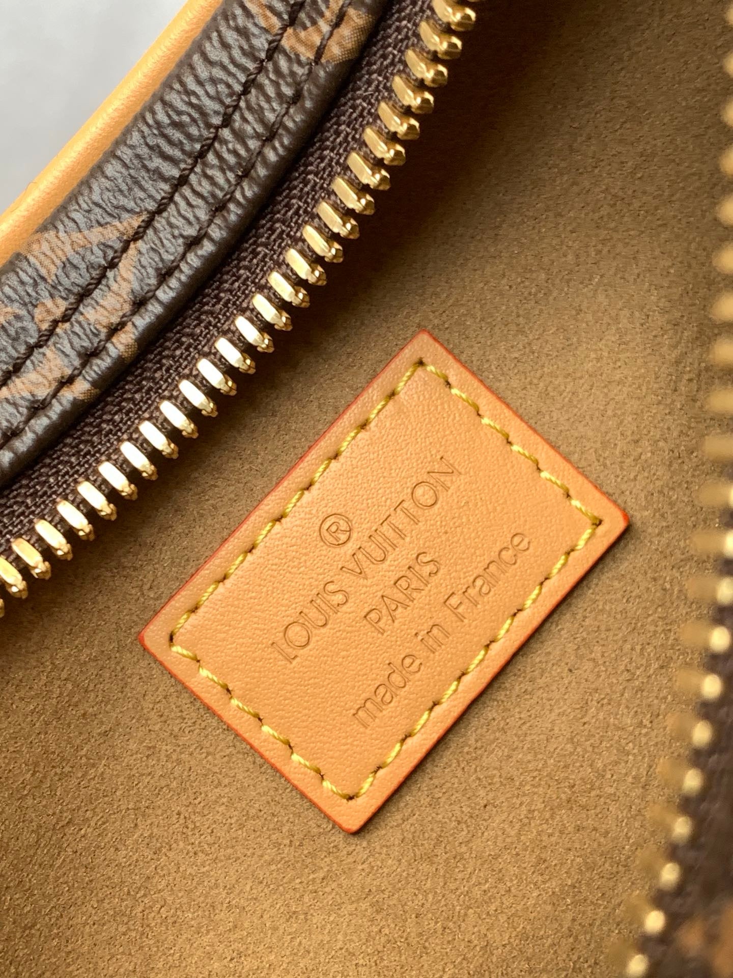 LV Loop Bag