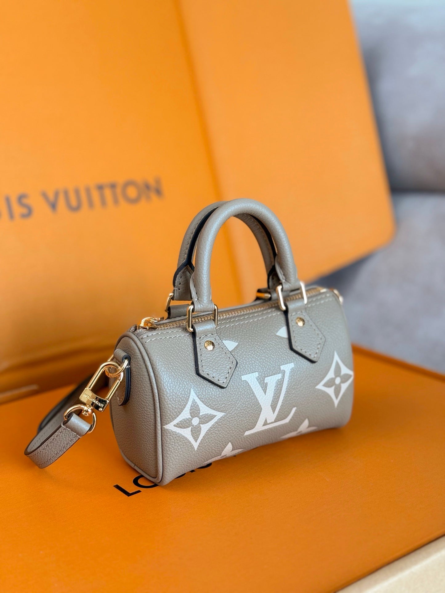 LV Nano Speedy Bag