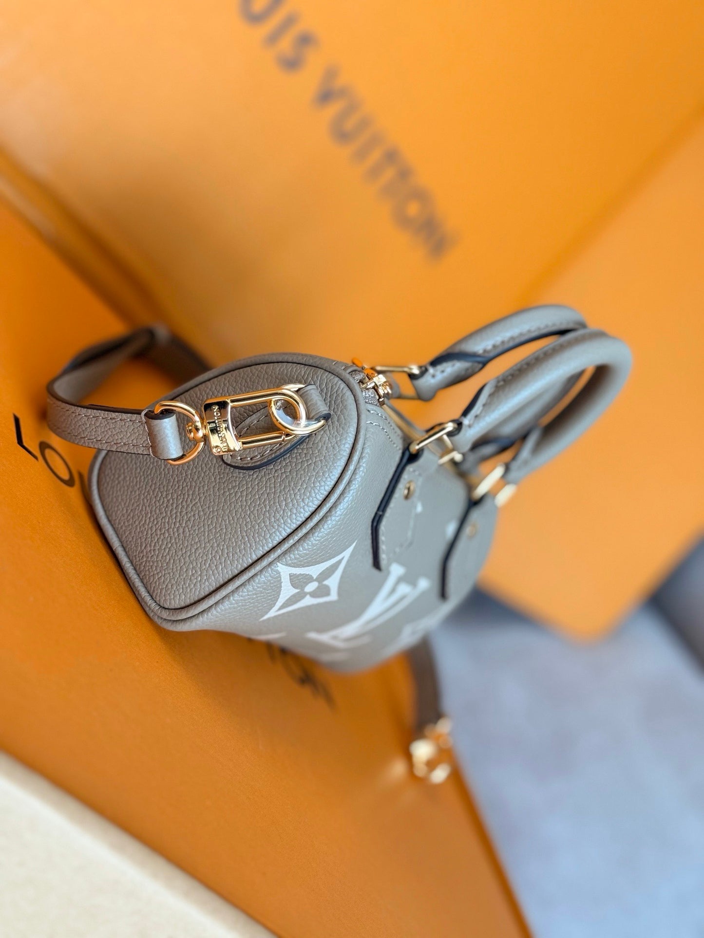 LV Nano Speedy Bag