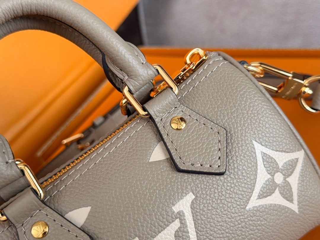 LV Nano Speedy Bag