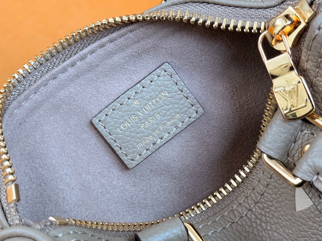 LV Nano Speedy Bag