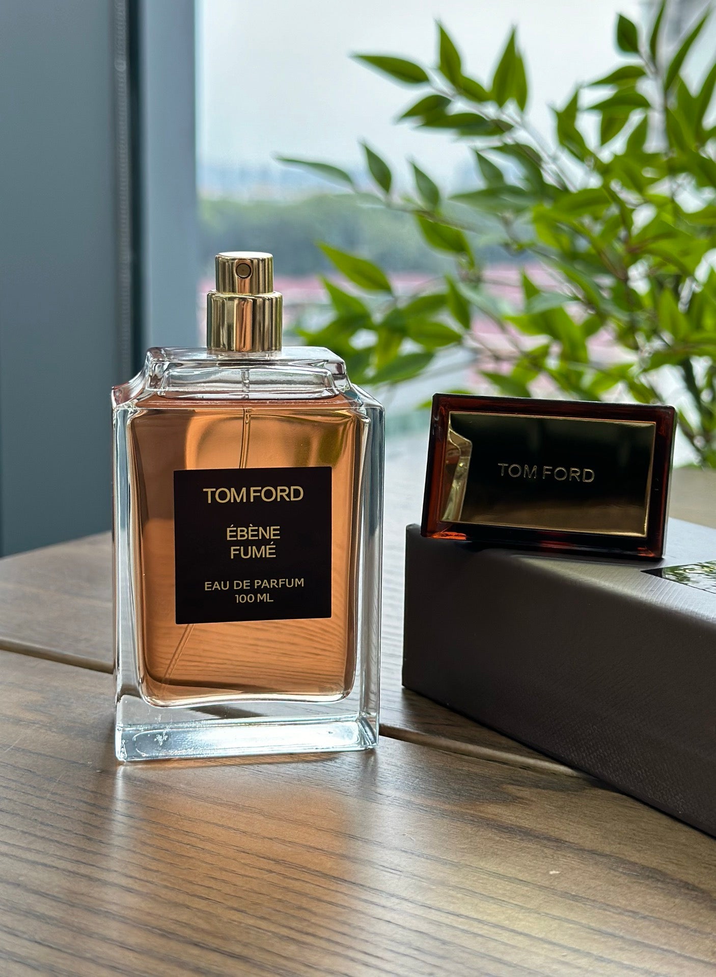 TOM FORD Ebene Fume