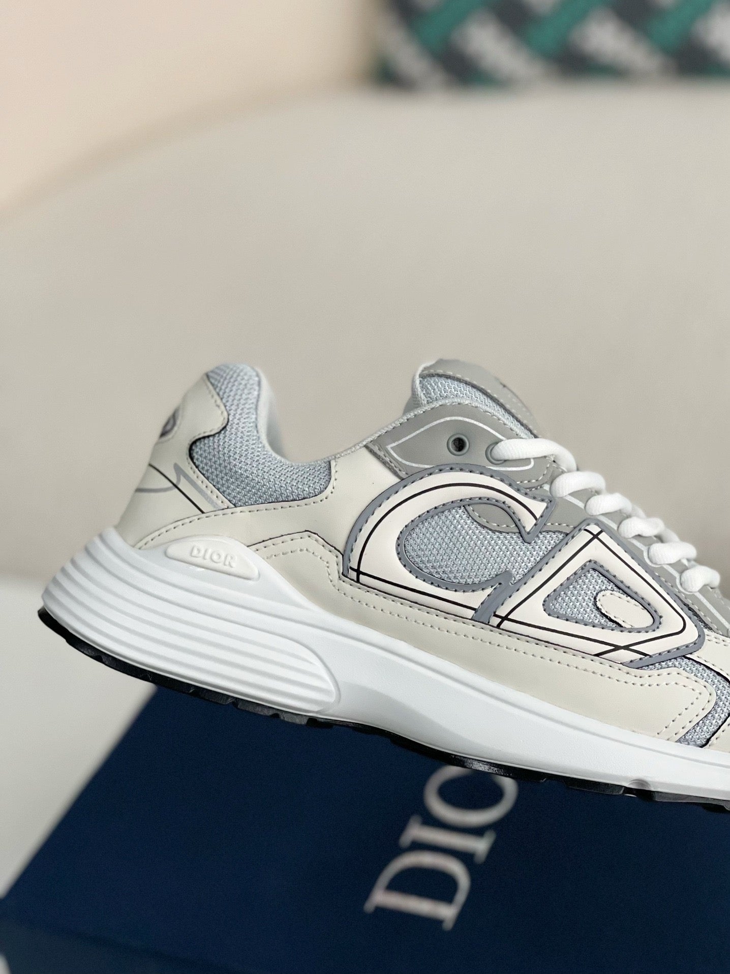 Dior B30 Countdown Sneaker
