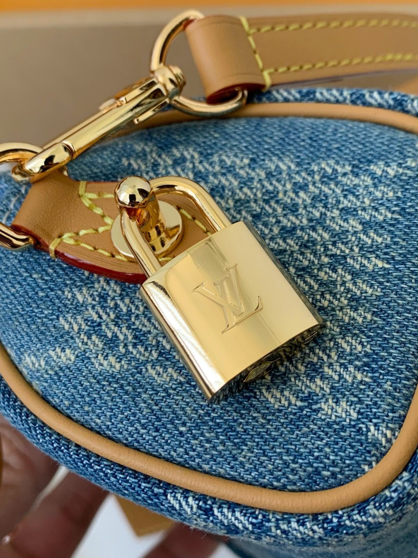 LV Speedy 18 Bandoulière Bag